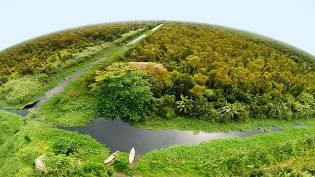 Национальный парк мыса Камау омывается морем с трех сторон. Фото: dacsanmuicamau.com