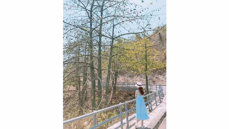 Извилистая дорога, ведущая к маяку. Фото: ittpa.baria-vungtau.gov.vn