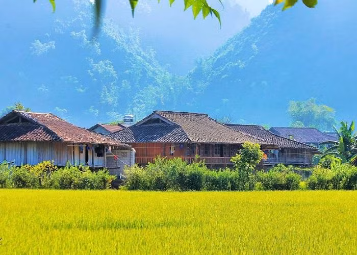 Культурная деревня общественного туризма Куиньшон. Фото: luhanhvietnam.com.vn