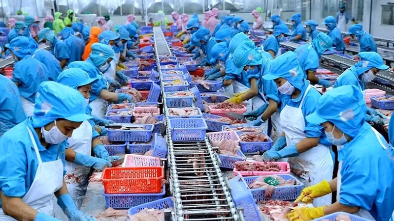Экспорт рыбной продукции достиг 10 миллиардов долларов США