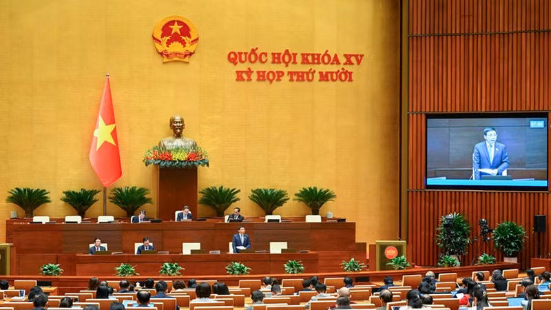 Общий вид пленарного заседания в зале во второй половине дня 19 ноября. Фото: Зюи Линь