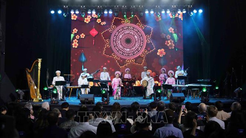 Художественный номер в исполнении вьетнамских артистов. Фото: ВИА