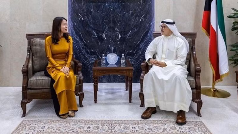 Заместитель министра Нгуен Минь Ханг проводит рабочую встречу с Постоянным заместителем министра иностранных дел Кувейта шейхом Джаррой Джабером аль-Ахмедом ас-Сабахом. Фото: VOV