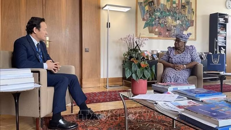 Посол Май Фан Зунг на встрече с Генеральным директором ВТО Нгози Оконджо-Ивеала. Фото: ВИА