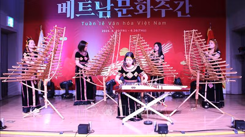 Игра на традиционных вьетнамских музыкальных инструментах. Фото: ВИА