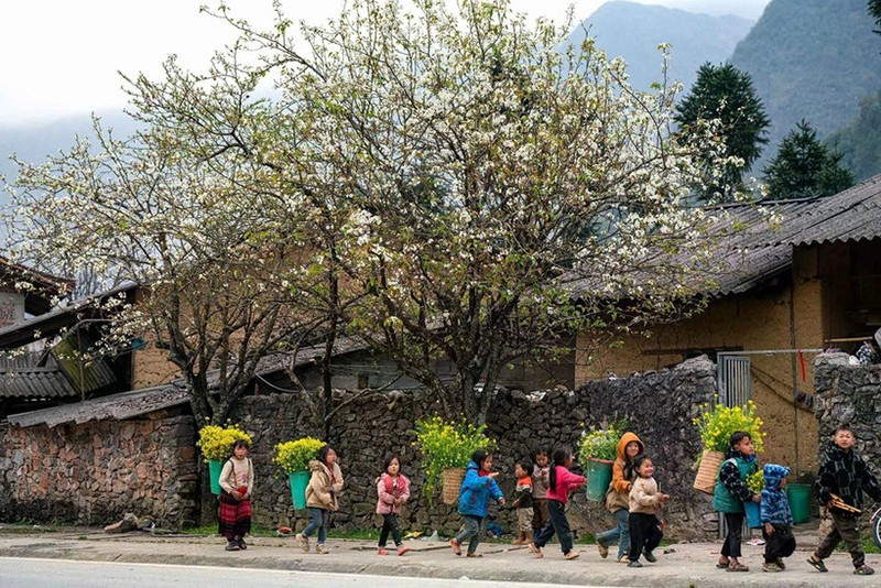 Жизнь жителей Каменного плоскогорья Донгван. Фото: ВИА