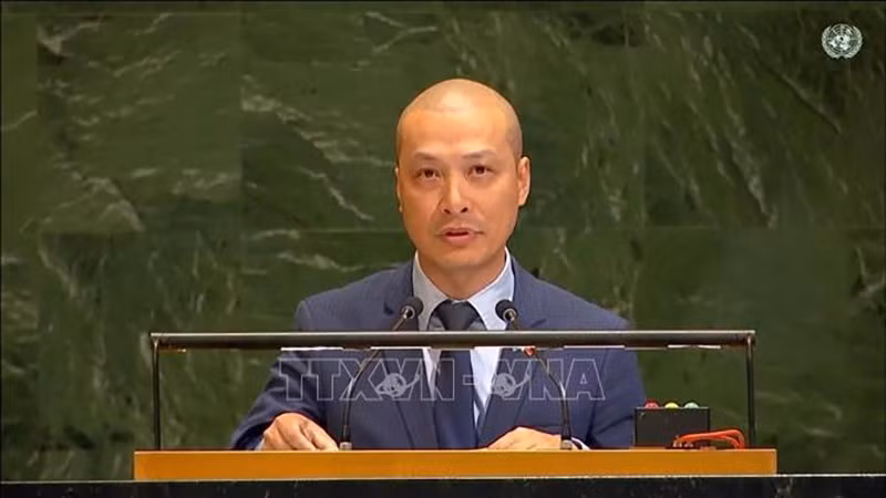 Посланник Нгуен Хоанг Нгуен выступает на заседании. Фото: ВИА