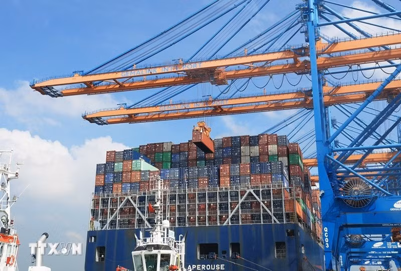 Погрузка и разгрузка контейнеров на судно в Международном порту Gemalink, город Фуми, провинция Бариа–Вунгтау. Фото: ВИА