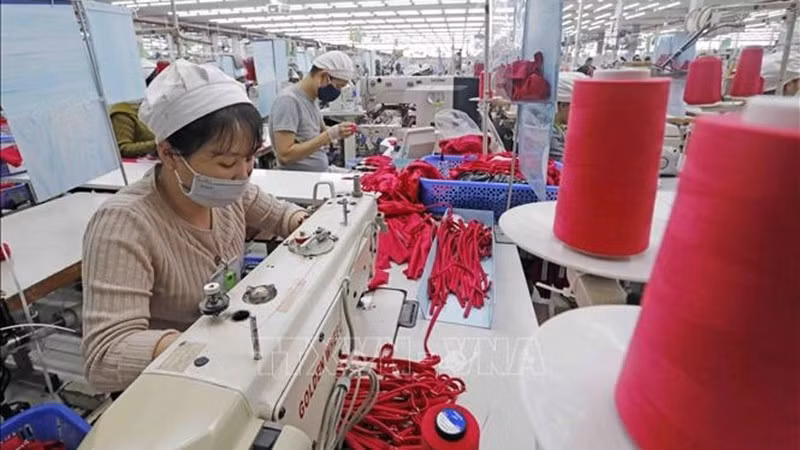 Компания SCAVI Хюэ (со 100% капиталом группы Financière B’Lao, Франция), специализирующаяся на производстве швейной продукции в промышленной зоне Фонгдьен (Хюэ). Фото: ВИА