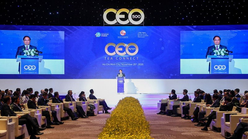 Премьер-министр Фам Минь Тьинь выступает на программе. Фото: VGP