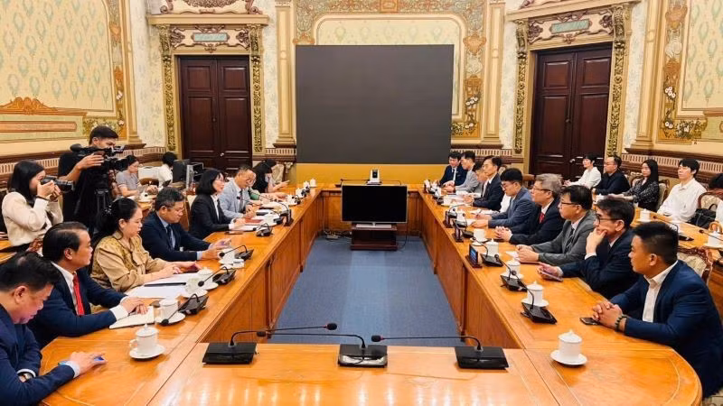 Общий вид рабочей встречи. 