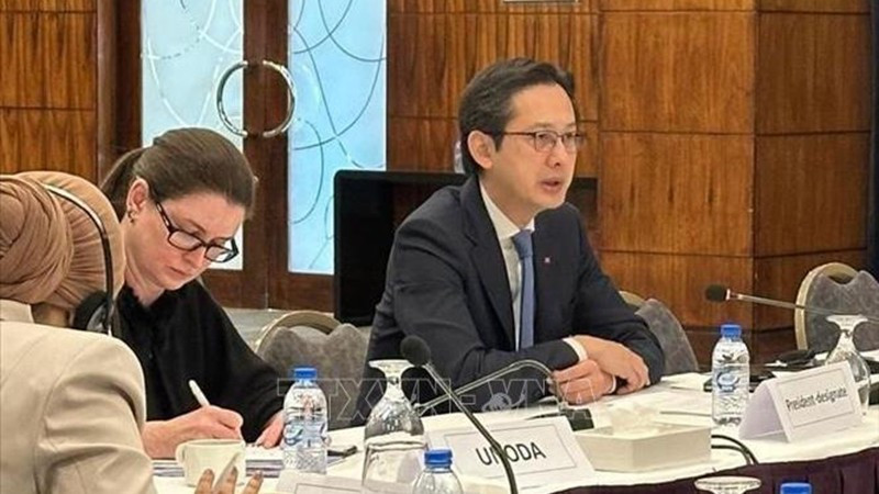 Посол До Хунг Вьет председательствует на консультациях. Фото: ВИА