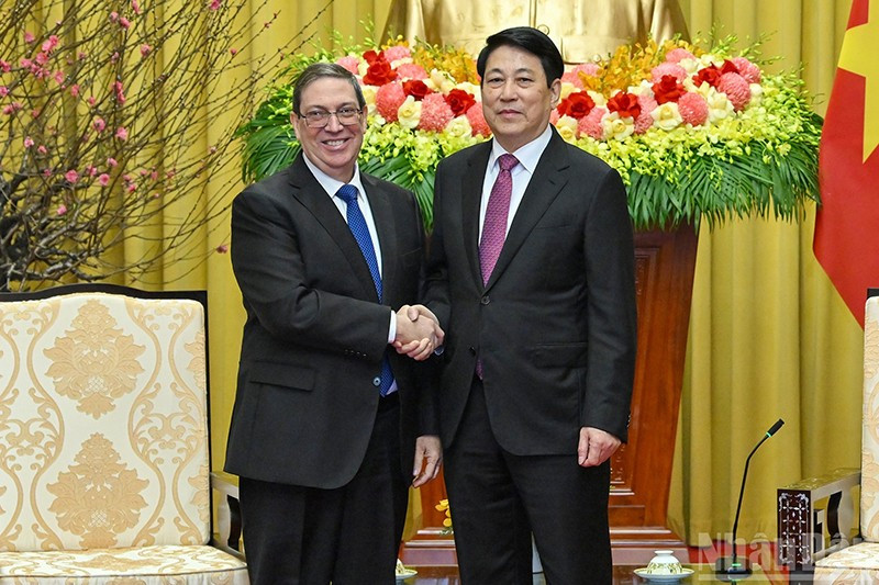 Президент Вьетнама Лыонг Кыонг принимает специального посланника Партии и Государства Кубы, Министра иностранных дел Кубы Бруно Родригеса Паррилью. Фото: Тхюи Нгуен