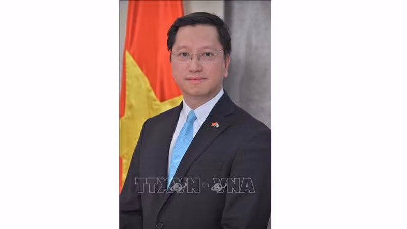 Посол Вьетнама в Индии и по совместительству в Непале и Бутане Нгуен Тхань Хай. Фото: ВИА