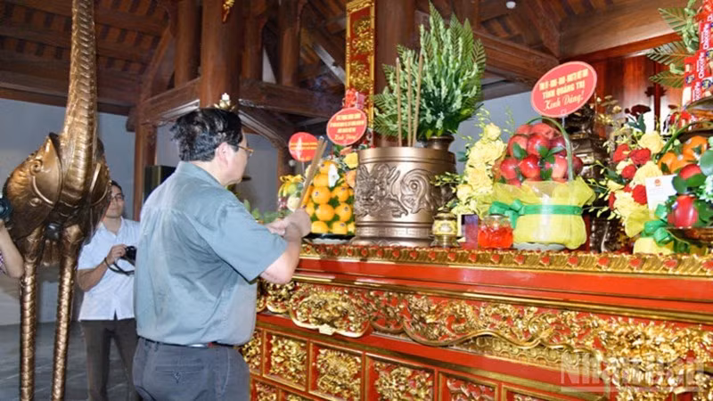 d2-8582.jpg