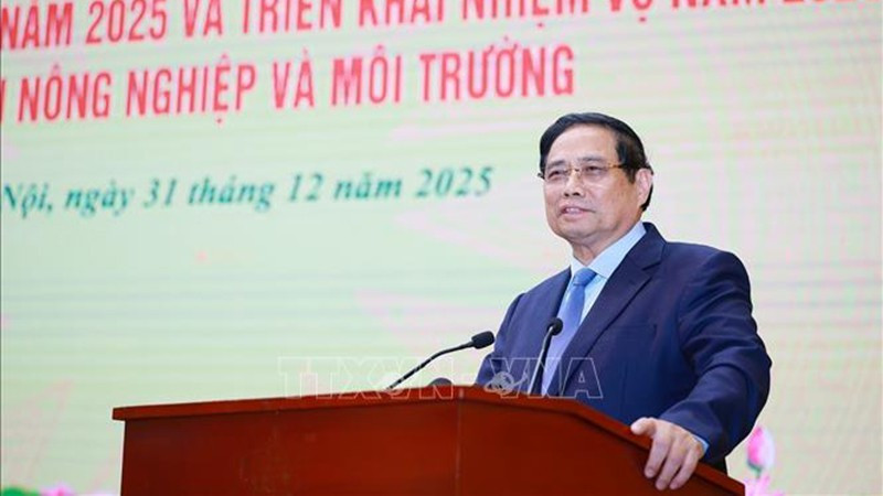 Премьер-министр Фам Минь Тьинь выступает на конференции. Фото: ВИА