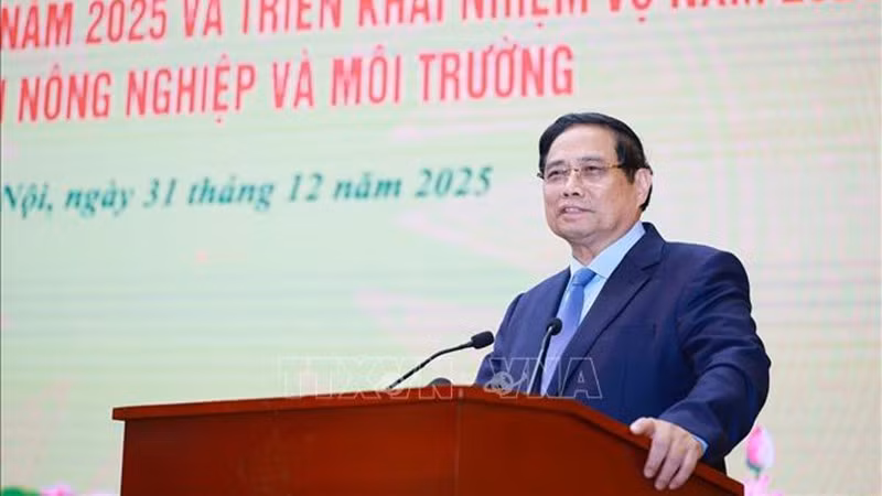 Премьер-министр Фам Минь Тьинь выступает на конференции. Фото: ВИА