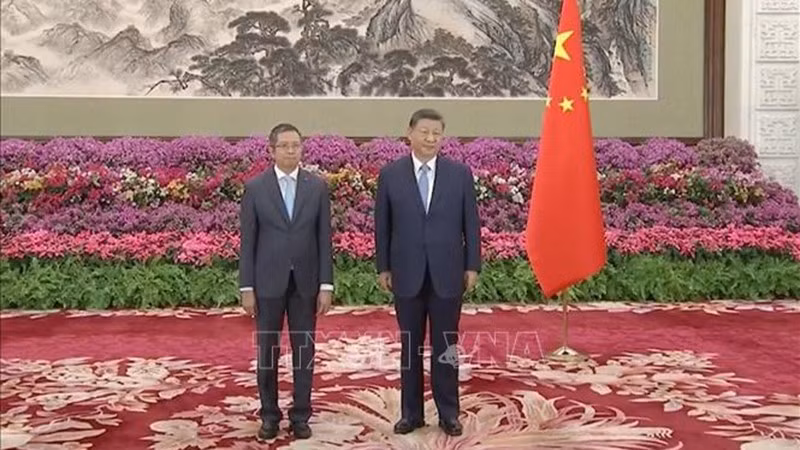 Посол Вьетнама в Китае Фам Тхань Бинь и Председатель КНР Си Цзиньпин. Фото: ВИА