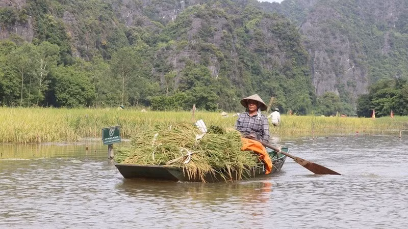 Лодка на реке Нгодонг в провинции Ниньбинь. Фото: ВИA