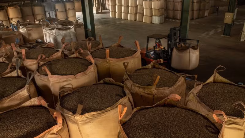 У вьетнамского кофе по-прежнему есть много возможностей для экспорта на тайский рынок.