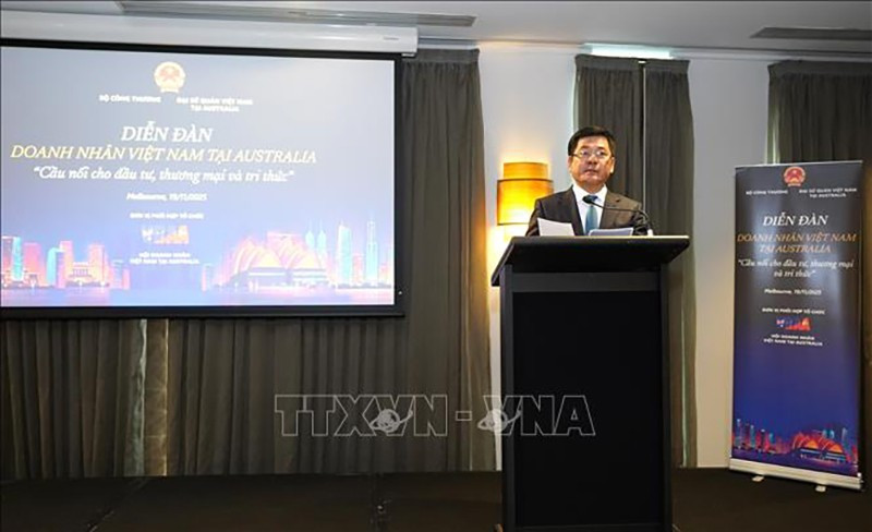 Министр промышленности и торговли Нгуен Хонг Зиен выступает на форуме. Фото: ВИА