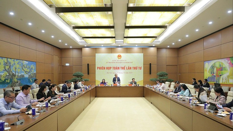 Задачи и полномочия Петиционного и надзорного комитета Национального собрания