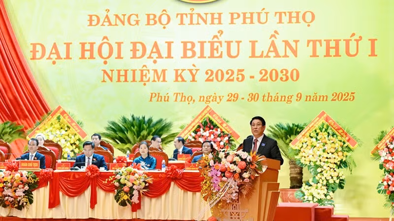 Президент Лыонг Кыонг выступает на конференции. Фото: Тхюи Нгуен