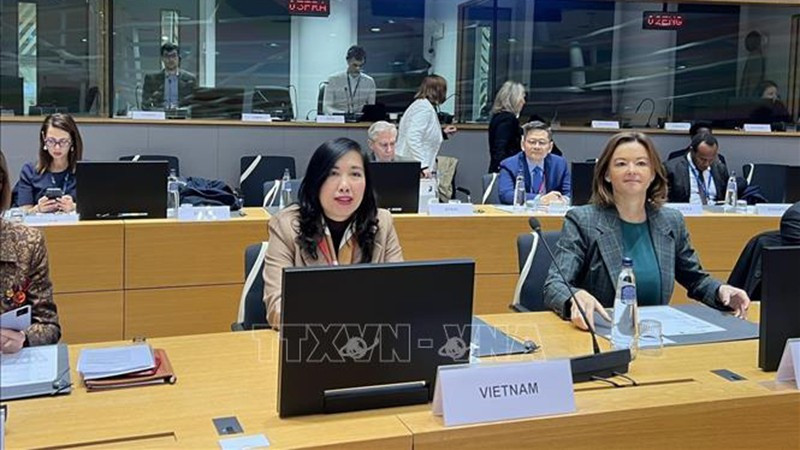 Заместитель министра Ле Тхи Тху Ханг на IPMF-4. Фото: ВИА