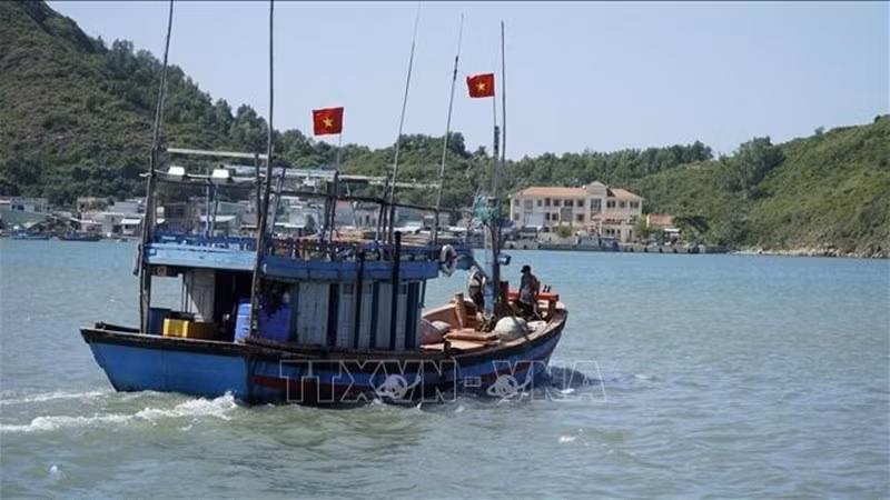 Провинция Жалай сосредоточила усилия на управлении рыболовным флотом, а также на предотвращении и наказании судов и рыбаков, нарушающих иностранные водные границы. Фото: ВИА