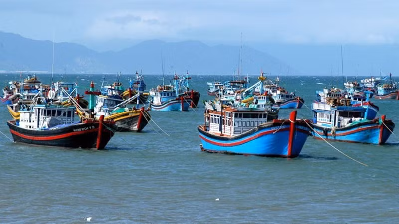 Иллюстрация. Фото: thuysanvietnam.com.vn