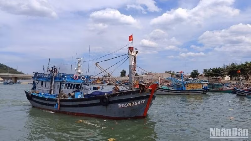 Рыболовные суда длиной 15 м и более должны установить стабильную систему круизного мониторинга перед выходом из порта.