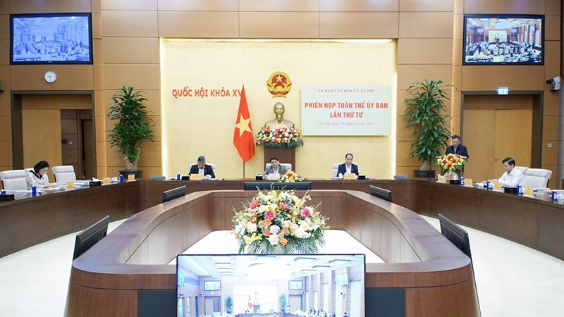 Задачи и полномочия Комитета Национального собрания по культурным и социальным вопросам