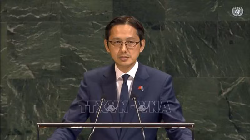 Посол До Хунг Вьет выступает на пленароном заседании. Фото: ВИА