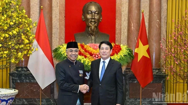 Президент Лыонг Кыонг и посол Индонезии во Вьетнаме Адам Мулаварман Тугио.
