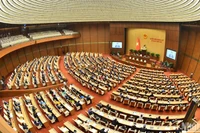 Общий вид заседания 29 ноября. Фото: Данг Кхоа