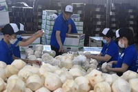 Упаковка кокосов для экспорта