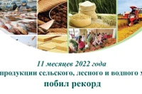 Экспорт продукции сельского, лесного и водного хозяйства побил рекорд