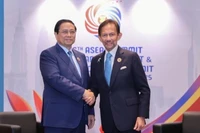 Султан Брунея Хассанал Болкиах. Фото: VGP