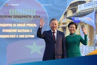 Укрепление солидарности АСЕАН, поднятие на новый уровень отношений Вьетнама с Индонезией и Сингапуром