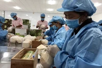 Потенциальным экспортным продуктом в 2024 году считается кокос.