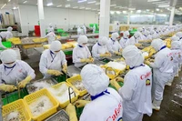 Переработка водных продуктов в АО Cafatex (провинция Хаужанг). Фото: Чан Куок