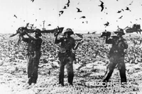 Военнослужащие на острове Тьим (архипелаг Чыонгша) охраняют и защищают остров. Архивное фото: ВИА