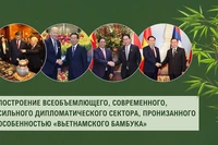 Построение дипломатического сектора, пронизанного особенностью «вьетнамского бамбука»