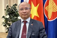 Посол Вьетнама во Франции Динь Тоан Тханг. Фото: ВИА