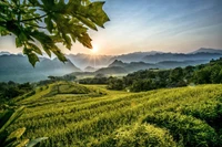 Поэтичная красота селения. Фото: dulich24.com.vn