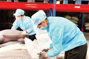 Упаковка специальной кофейной кожуры (чая каскара) для экспорта на предприятии «Simexco DakLak». (Фото: Минь Ань)