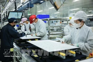 Производственная деятельность компании с ограниченной ответственностью Regza Vietnam Electronics, расположенной на территории провинции Донгнай. (Фото: ВИА)