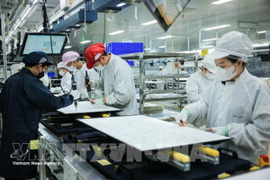 Производственная деятельность компании с ограниченной ответственностью Regza Vietnam Electronics, расположенной на территории провинции Донгнай. (Фото: ВИА)