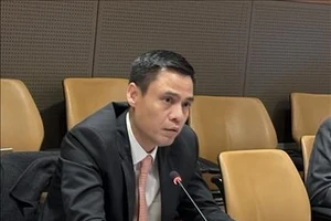 Заместитель министра иностранных дел Данг Хоанг Зянг. (Фото: ВИА)