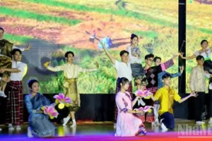Яркая художественная программа в исполнении иностранных студентов, обучающихся во Вьетнаме, в рамках мероприятия.